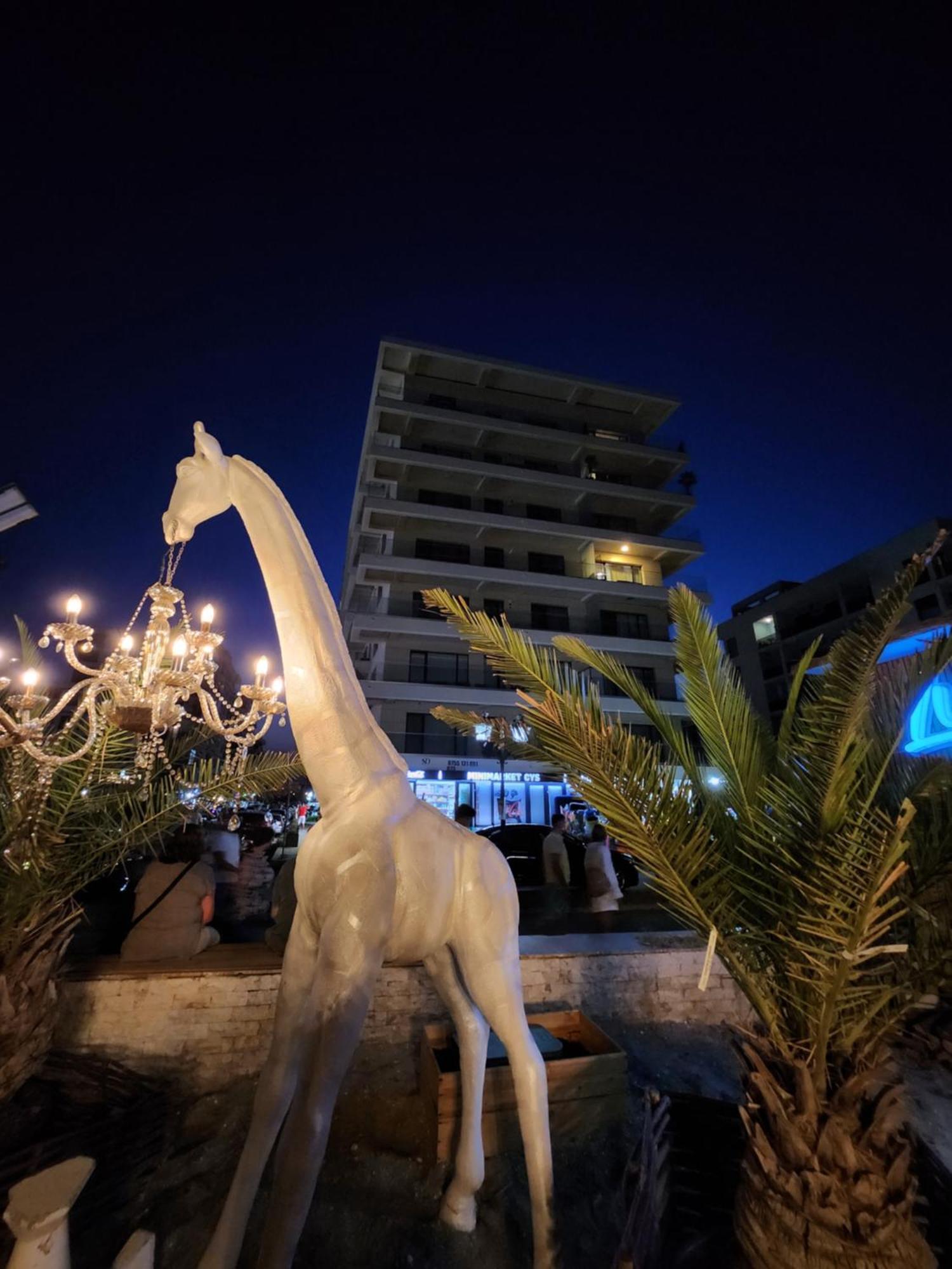 Seaside Amalia Apartament ナボダリ エクステリア 写真